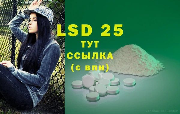 ГАЛЛЮЦИНОГЕННЫЕ ГРИБЫ Верхний Тагил