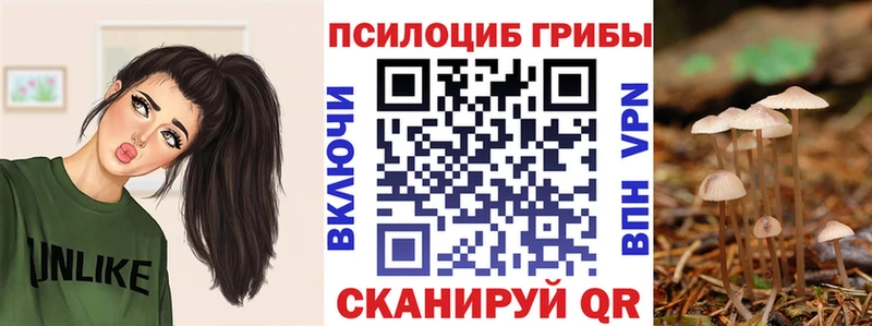 Купить  Кологрив  Галлюциногенные грибы мицелий 